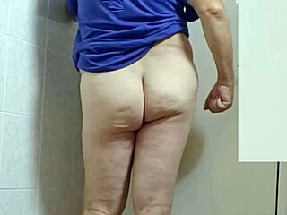 zea812 update 235 from jul 11 2025