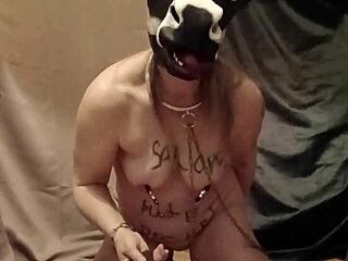 a session of humiliation and anal play in bdsm context.