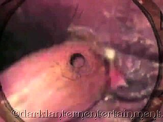 I confess my erotic secrets as a Victorian gentleman