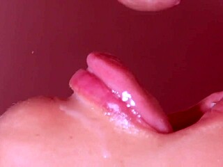 Unexpected Japanese Blowjob Leading to Creampie