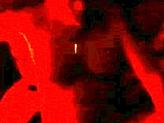 real homemade fuck at wedding with bride and groom amateurs