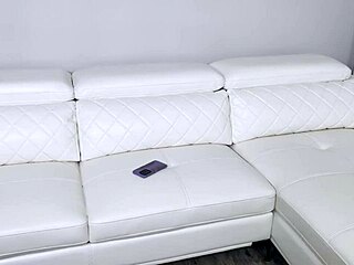 I meeted the new neibor and we licked each other