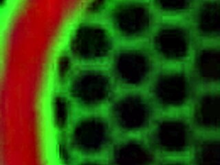 Curvy Milf Sara Jay Enjoys 69 Face Sitting With Finger Fucking, Blonde Bombshell In Sensual Lesbian Orgasm