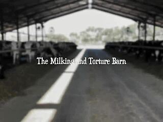 Chatting about dominatrix Mistress April in Rosen Garden part 3