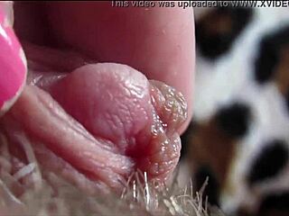 Big clit pulses in closeup as she reaches intense orgasm with wet pussy rubbing