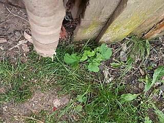 i spy on girl masturbating in the barn - lesbian illusion girls