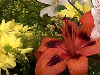 after the hot foreplay rush, i ended up sucking and fucking that strap-on hard