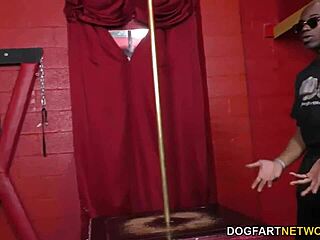 oh wow, rachael madori takes that huge big black cock deep in her ass for intense anal!