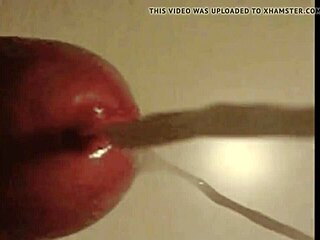 These sexy tgirls crave swallowing loads of cum