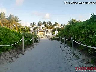 i love how my fat ass takes every inch of don prince's ebony cock