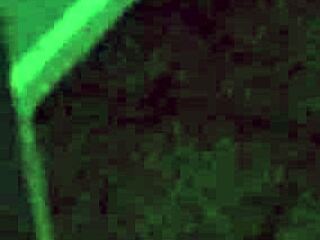 observing the neighbor showering next door