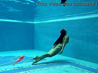 why is hungarian babe sazan cheharda swimming naked in the pool, teasing with big tits and ass?