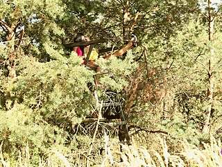 passionate outdoor lesbian sex with blonde and brunette babes licking tits!