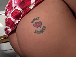 Alexa jordan eagerly sucks a big cock through the gloryhole in the toilet, leading to a messy facial cumshot.