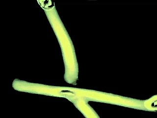 foster learns manners the hard way in curvy milf threesome blowjob scene