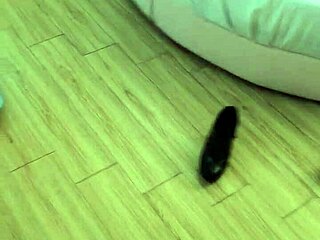 Culona teases the cleaning guy with her big ass in the hotel room