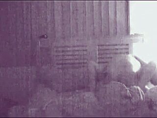 Amateur couple moans loudly during passionate fucking session