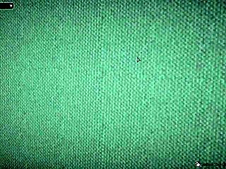 Hey, wanna play with this hot girl in cowgirl style?