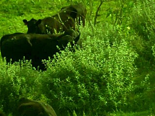 Whoa, Brooke Ballentyne is getting it on with that ranch hand outdoors by the fire 😏
