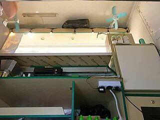 Bold hot babe flashes ass in pink skirt for voyeur upskirt hidden cam at work