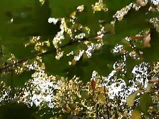 Oh girls, let's rub our wet pussies together in swimsuits, shorts, and jeans outdoors in the forest!