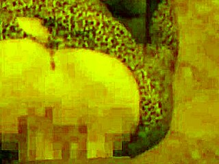 single vergon, you opened my legs and thrust it all in at the party!