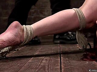 natural busty milf gets caned while tied up in hogtie position