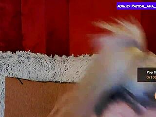 Ashley Payton Aka Maya Maley Delivers Sexy Striptease with Lingerie and Ass Tease