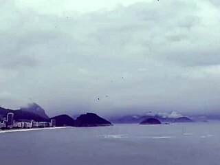 Amateur black guy receives blowjob from rich babe in homemade bareback scene