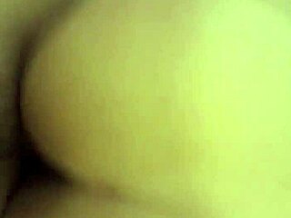 Oh wow, this couple is having a quickie session!