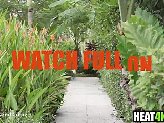 gotham clown chase vol 1 features harley quinn parody with cory chase and ace bigs