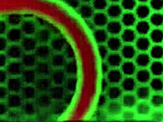 Tiara Starz, can you deepthroat Rome Majors' monster black cock?