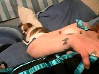 hey, what's this xvideos amateur lick video all about?