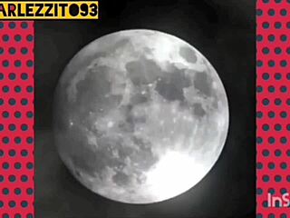 Shemale crossdresser gets anal fucked hard by wife