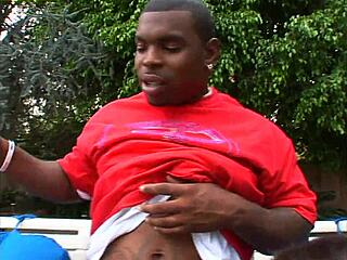 Ebony sluts double penetrated bent over by monster cocks in ffm cumshot frenzy