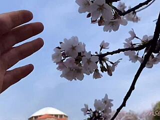 deep emotions surge in sakura's steamy hot springs passion with japanese babe nacchi