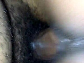 htown young ebony thots ride black cock hard