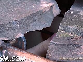 i love this bound couples rough bdsm doggystyle cunt pounding game