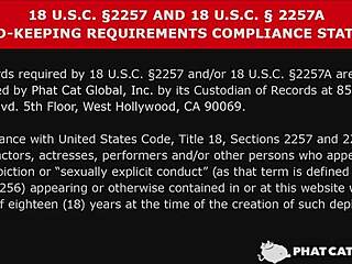 Staring Deeply While Fucking Makes Me Cum Harder Sari Nakamua