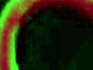 rome major pounds juicy big ass ebony dior hard