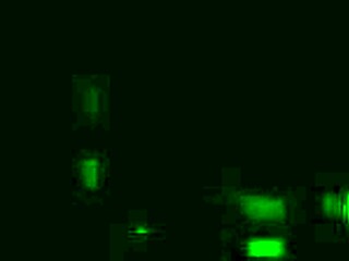 you're my pathetic little sissy bitch now!