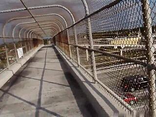 veros big booty miami wife first time doggystyle