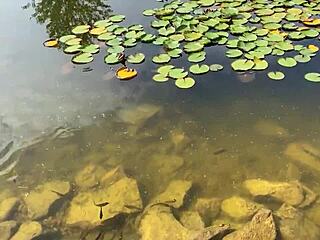 horny girls dripping wet public pool lesbian kissing fingering