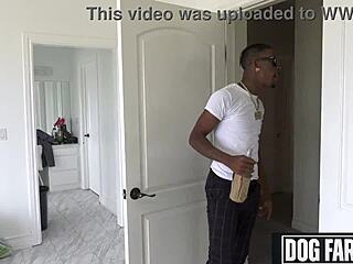 Busty Adira Allure's Wild Compilation - Doggystyle Deepthroats and Rides!