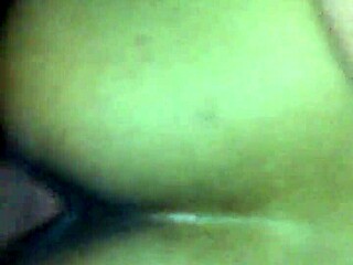 Tattooed princess featured in 2016 homemade video update